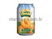 Cappy Meyve Suyu Kays Kutu 330ml 24'l Koli