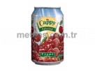 Cappy Meyve Suyu Vine Kutu 330ml 24'l Koli