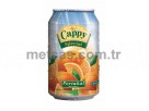 Cappy Meyve Suyu Portakal 330ml Kutu 24'l Koli