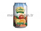 Cappy Meyve Suyu Kark Kutu 330ml 24'l Koli